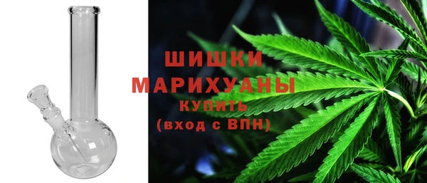дживик Богородицк