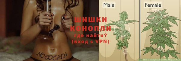 дживик Бугульма