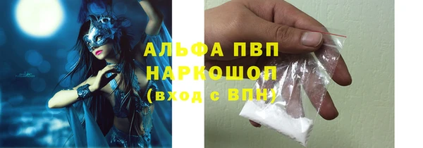 дживик Богородицк